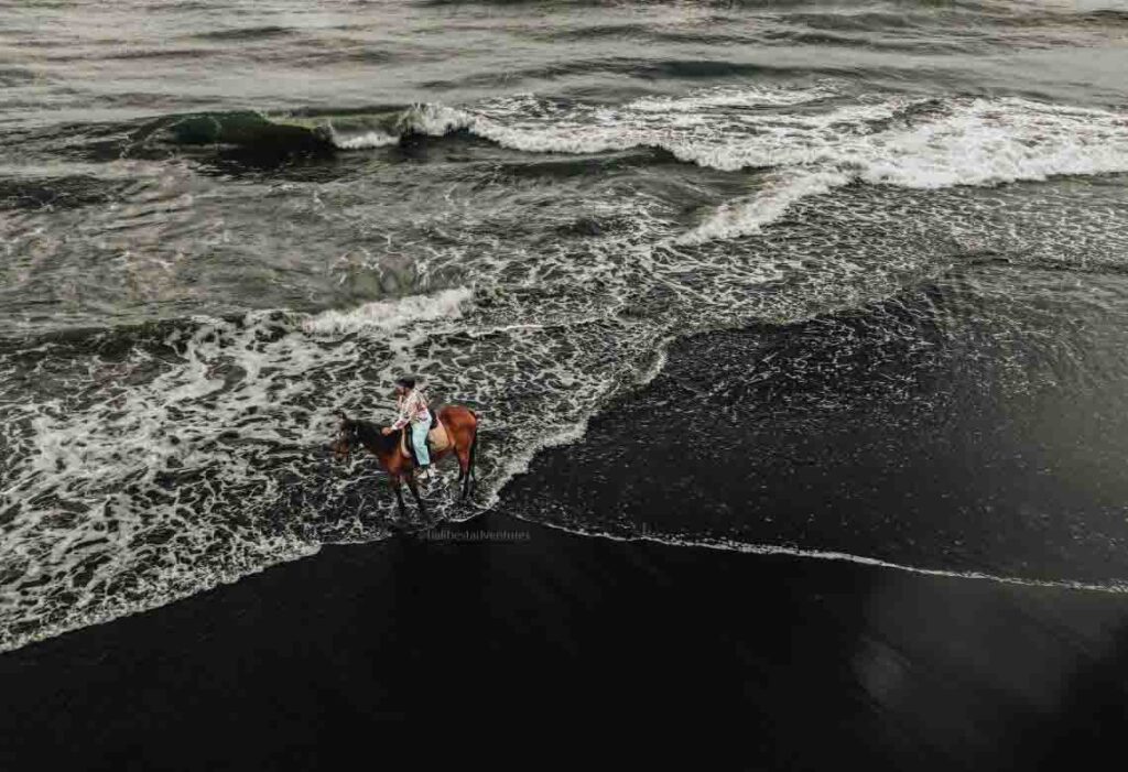 Tourist enjoying a Bali horse riding experience along a beautiful black sand beach with ocean waves